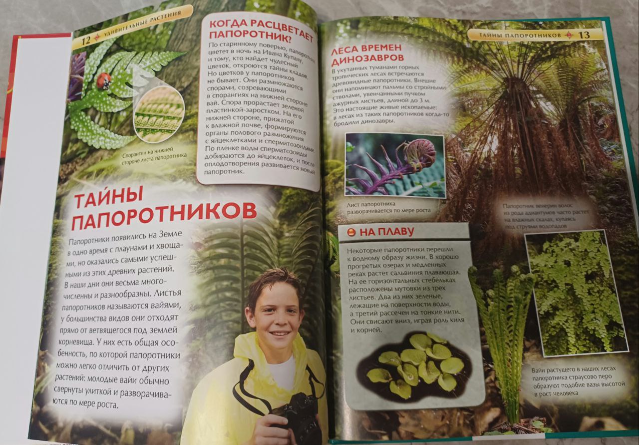 Детские энциклопедии Росмэн "Удивительные растения ". "Техника" . Возраст: 6 лет