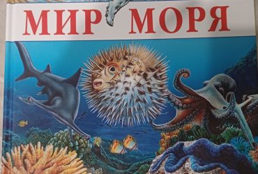 Деткие энциклопедии "Махаон" ."Мир моря" и "Мир Леса". в книге 125 страниц