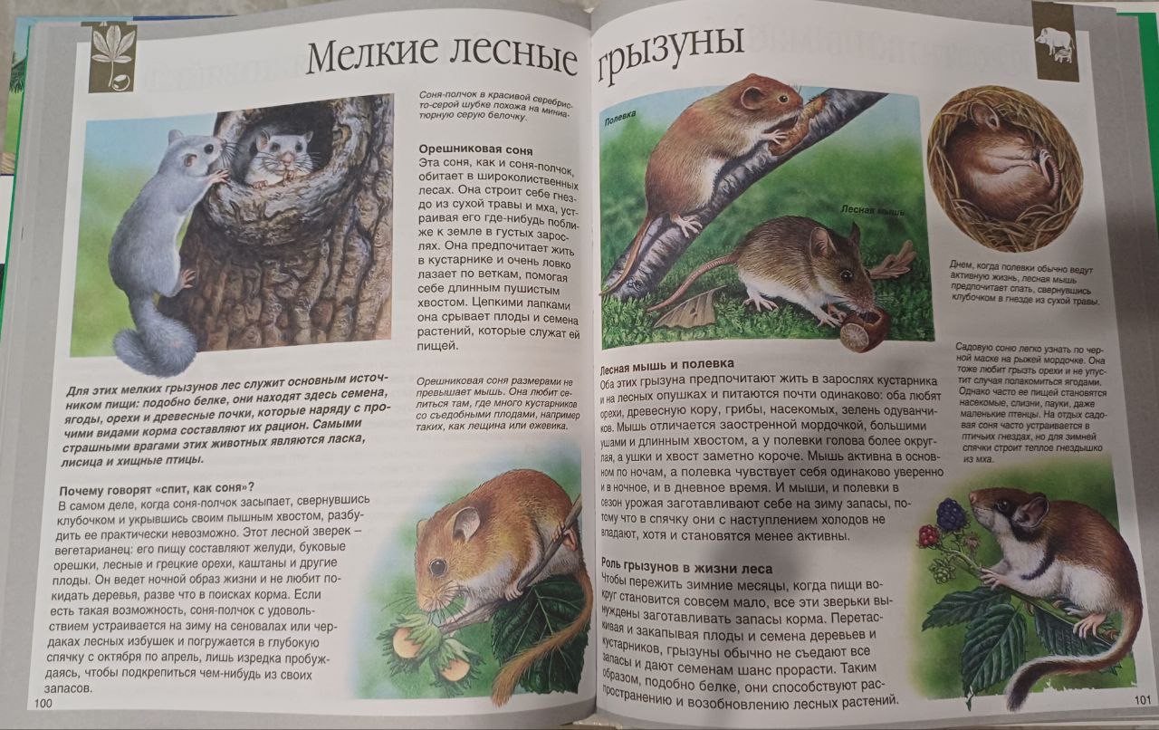 Деткие энциклопедии "Махаон" ."Мир моря" и "Мир Леса". в книге 125 страниц