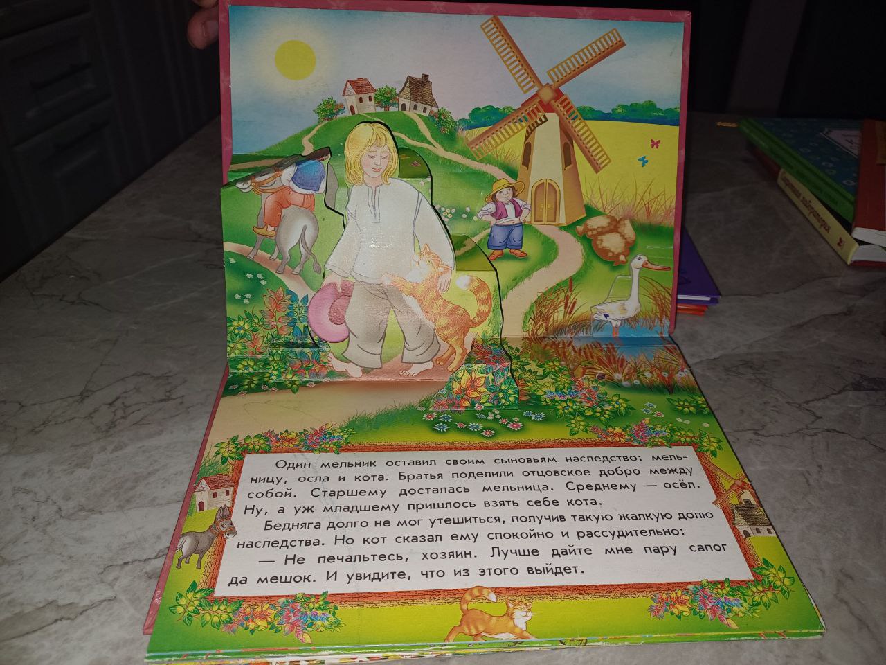 Книга панорама Кот в сапогах