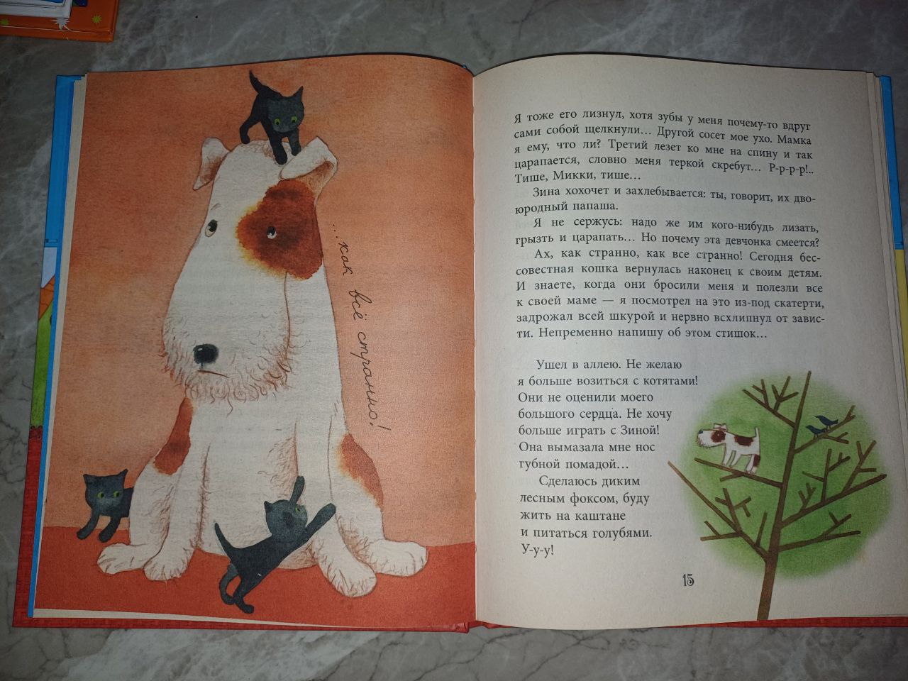 Книга Дневник Фокса Микки Саша Черный