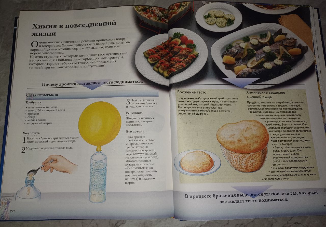 Книга большая экспериментов