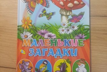 Книга маленькие загадки (сборник загадок)